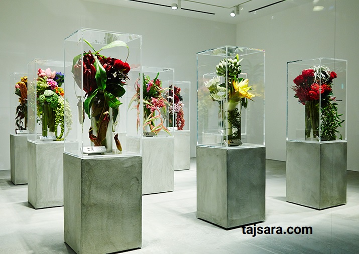 راه های انتخاب یک گل مناسب برای ارسال به نمایشگاه