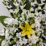 تاج گل مدل ماجد