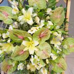 تاج گل مدل نوردخت 1