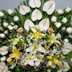 تاج گل پارسا 1