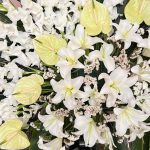 تاج گل مدل سیاوش 1