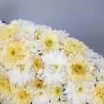 تاج گل ساعد 1