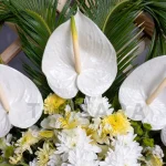 تاج گل ترحیم تابش 2