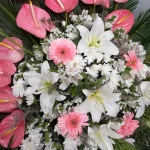 تاج گل کیاسان 1