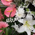 تاج گل کیاسان 2